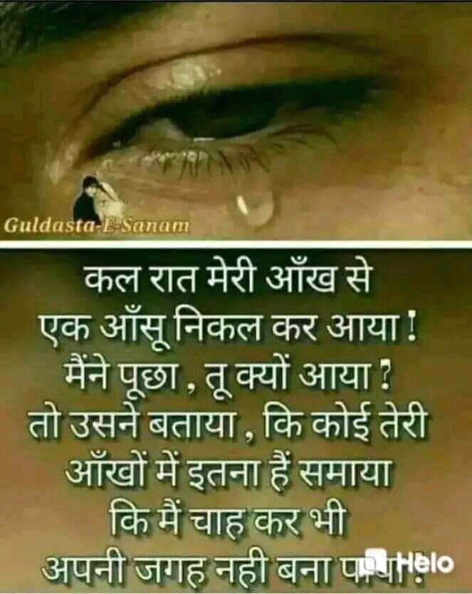 FB_IMG_15817726388480741
