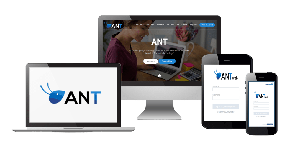 ant-web