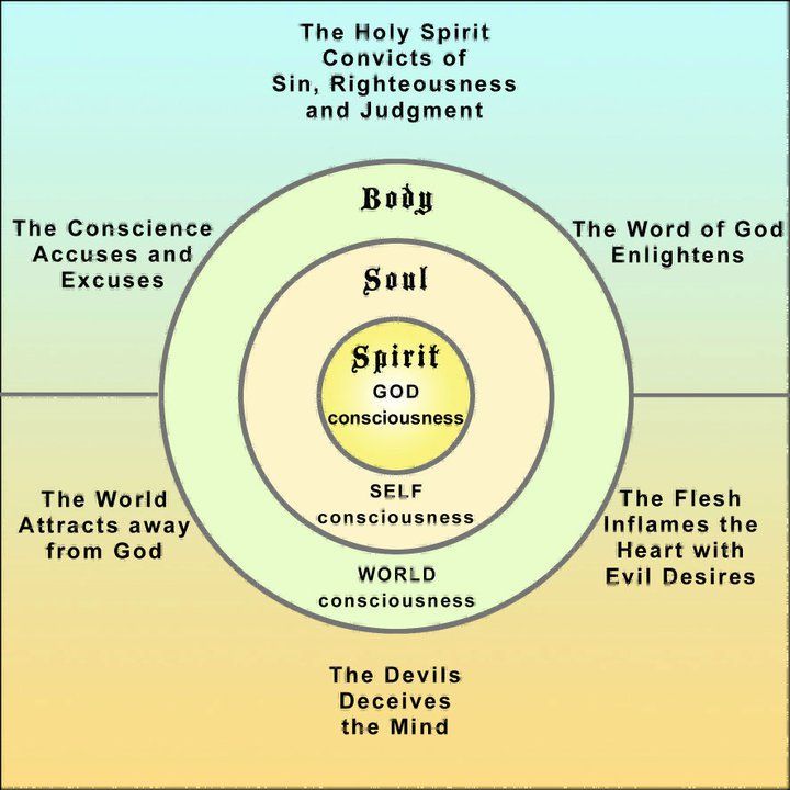 body_Sprit_and_soul